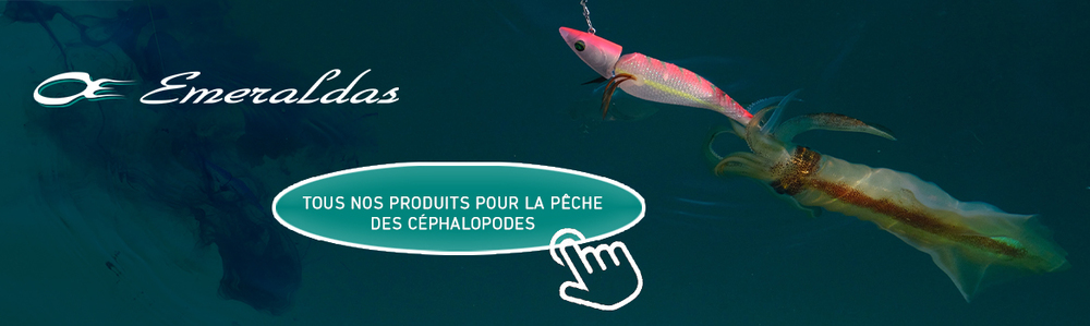 daiwa emeraldas eging calamar